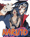 Naruto 43: Ten, který zná pravdu
